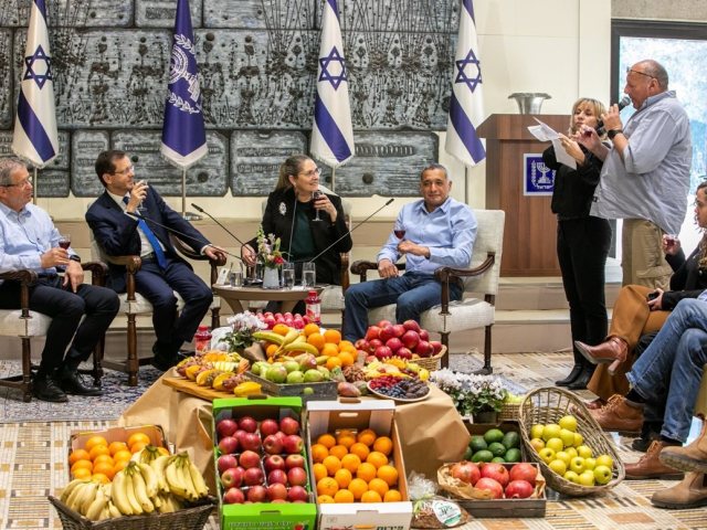 דוברות 