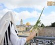 40,000 איש במעמד 'ברכת כהנים' הבוקר בכותל המערבי