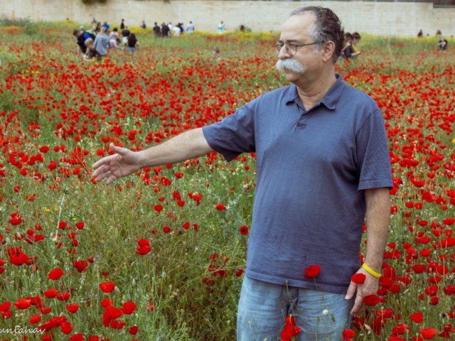צילום: ראובן להב