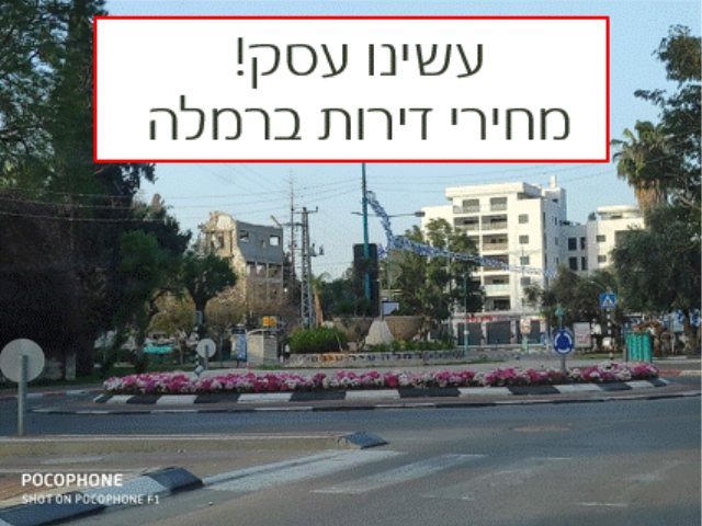דירות ברמלה צילום אתר נס ציונה נט 