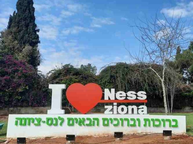 דוברות נס ציונה