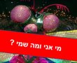 מי השפירית זמר במסכה: זהבה בן או רינת גבאי כל הספוילרים 