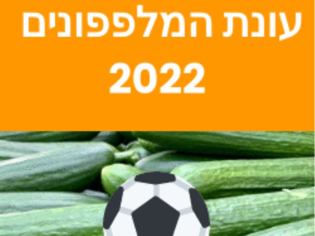 חדשות ספורט נס ציונה כדורגל 