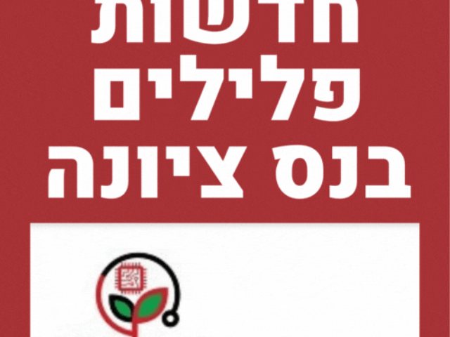 חדשות פלילים נס ציונה באתר המקומון נס ציונה נט מבזקי חדשות עירוניים 