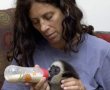 רק אני והגורים שלי... היכונו לפתיחת תערוכת הצילומים של עינת מטלון - "משפחתי וחיות הבר".