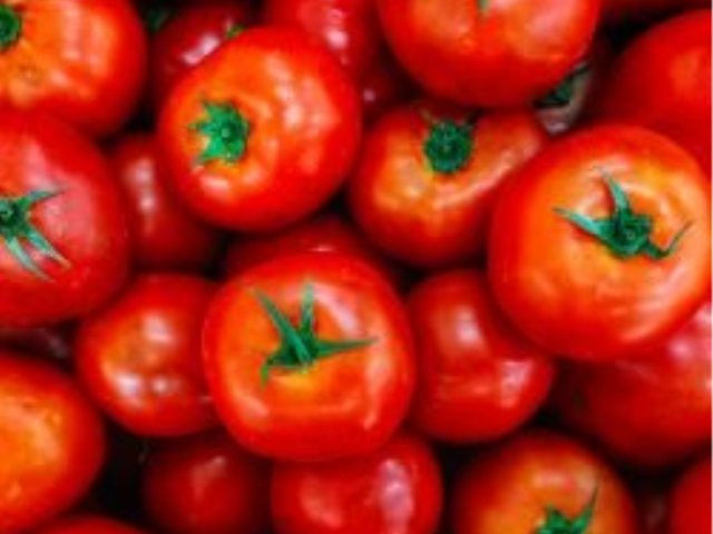 עגבניות מהעוטף לחיילי צהל ההנחיה החדשה של משרד הביטחון 